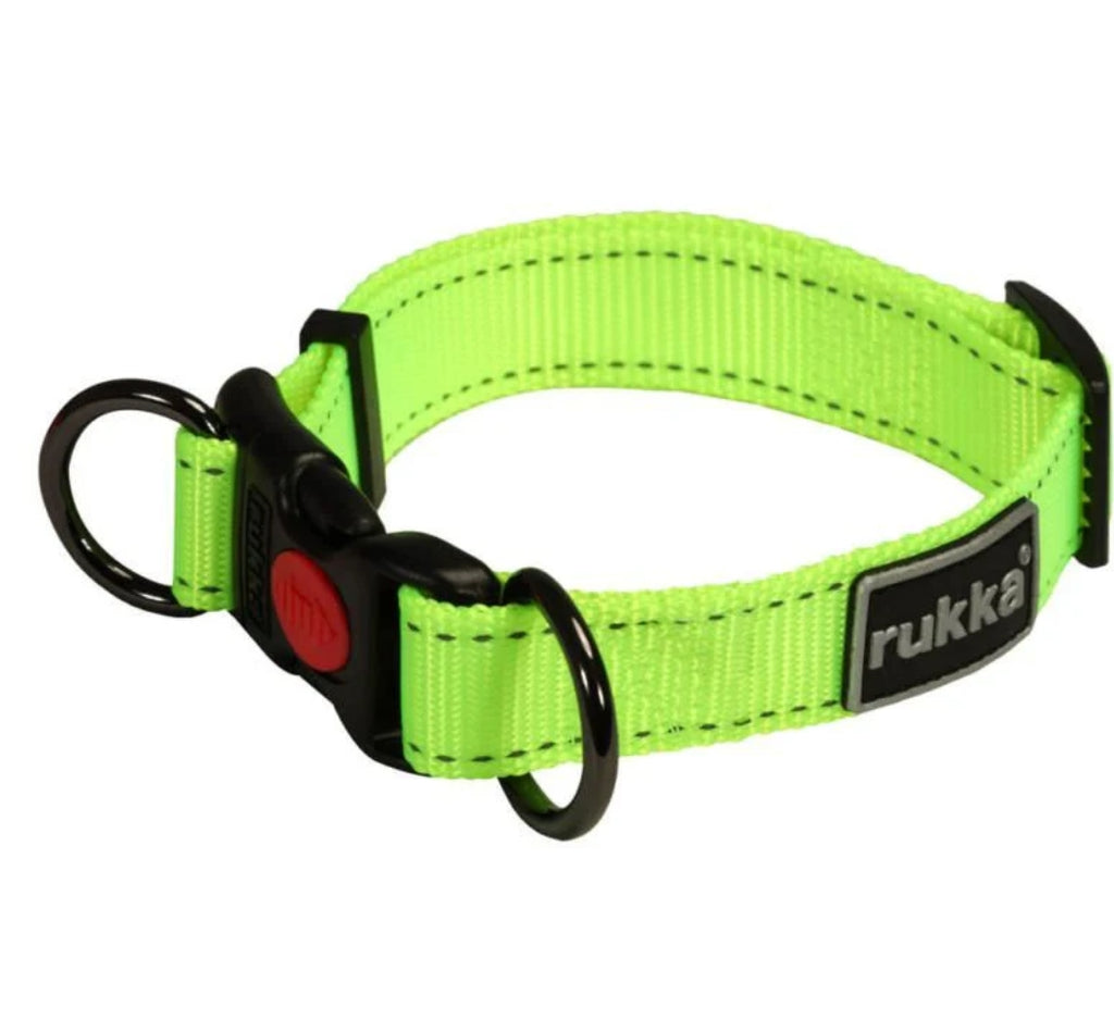 Glow in The Dark Collar- Keep Your Pet Safe and Seen After Dark - Essy Ecommerce Specialist
