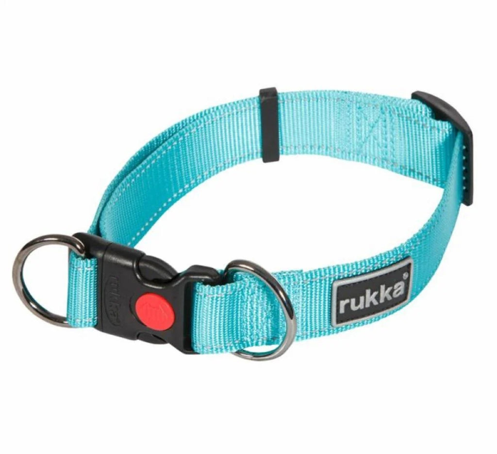 Glow in The Dark Collar- Keep Your Pet Safe and Seen After Dark - Essy Ecommerce Specialist